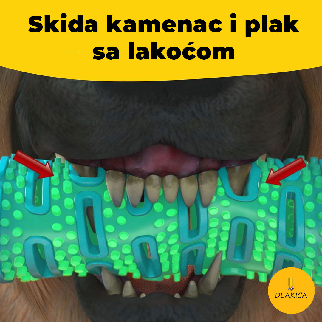 koska za pse